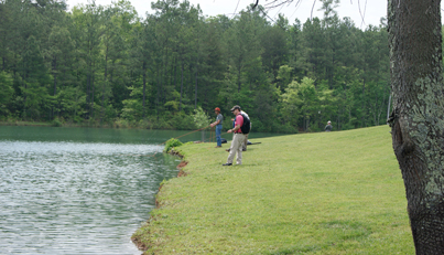 Orvis Fly Fishing School at Duck Down Inn